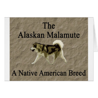Copia nativa de la raza del malamute