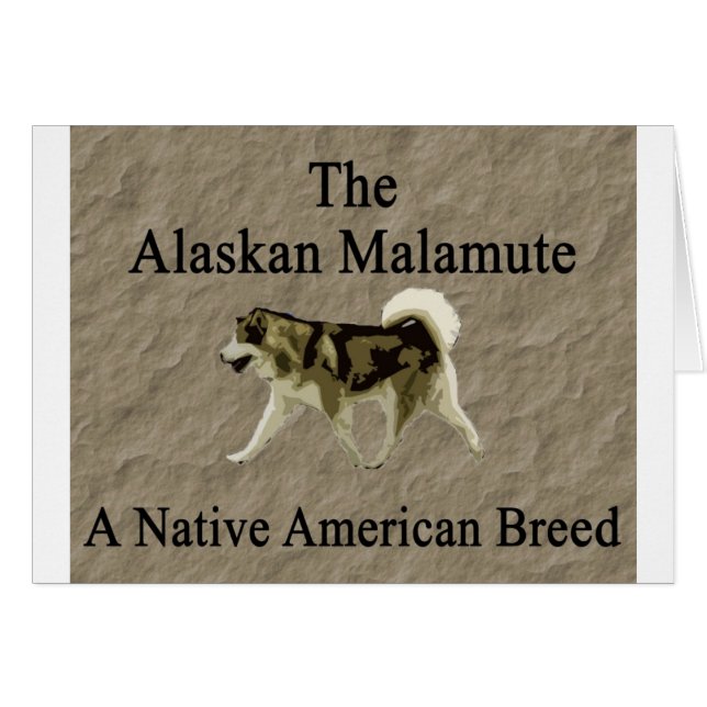 Copia nativa de la raza del malamute (Anverso (Horizontal))