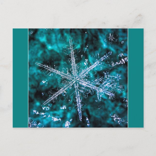 Copo de nieve con postal de foto verde (Anverso)