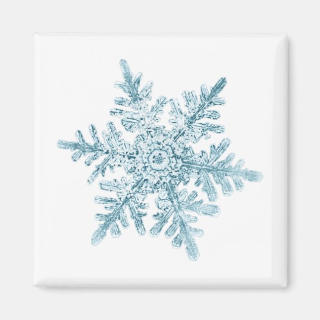 Copo de Nieve Imán (Frente)