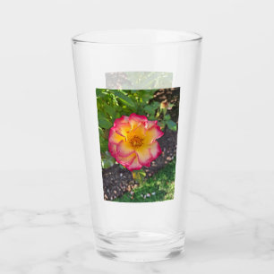 Copo de Rosa Amarilla Rosa
