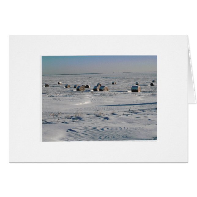 copos congelados (Anverso (Horizontal))