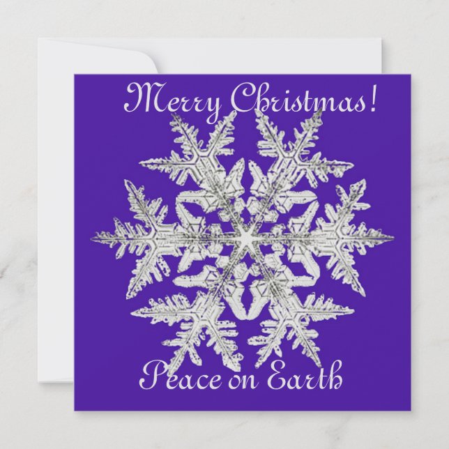 Copos de Navidad plateados sobre un púrpura brilla (Anverso)