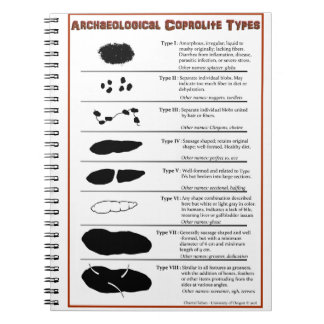 Coprolite arqueológico mecanografía el cuaderno