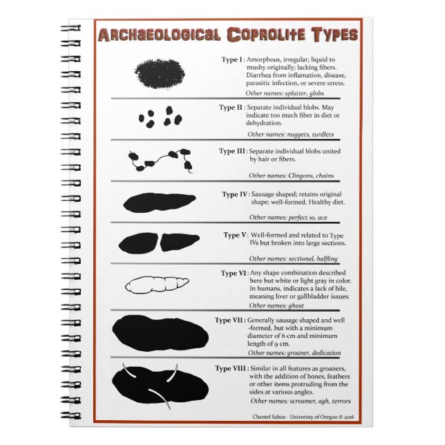 Coprolite arqueológico mecanografía el cuaderno (Frente)