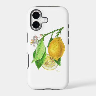 Coque IPhone 11 Citron “Limonier ferraris”