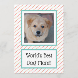 Coral, la mejor madre del perro del mundo a rayas