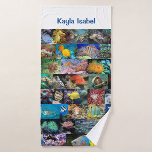 Coral Reef Marine Life Fish Animals Fotos Nombre