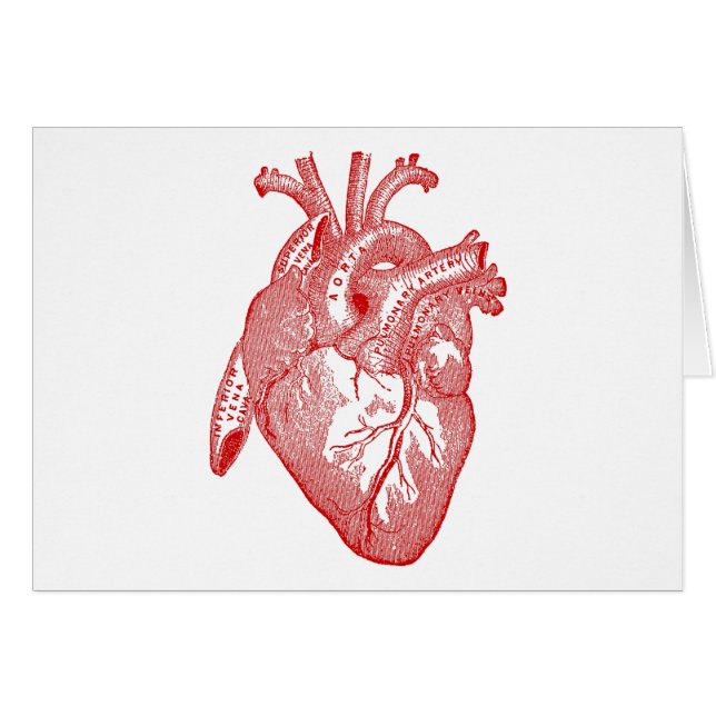 Corazón Anatómico de la Antigüedad Roja (Anverso (Horizontal))