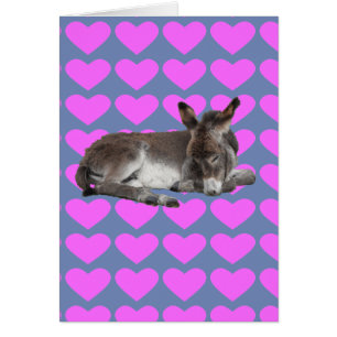 Corazón burro rosa y azul