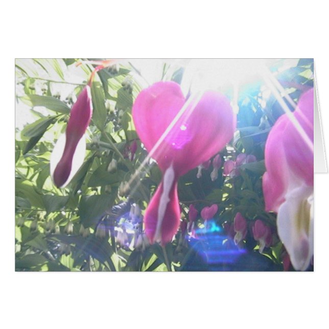 corazón completo (Anverso (Horizontal))