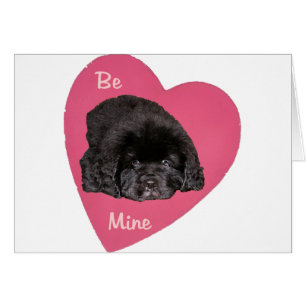Corazón de amor de perro de pato de Terranova