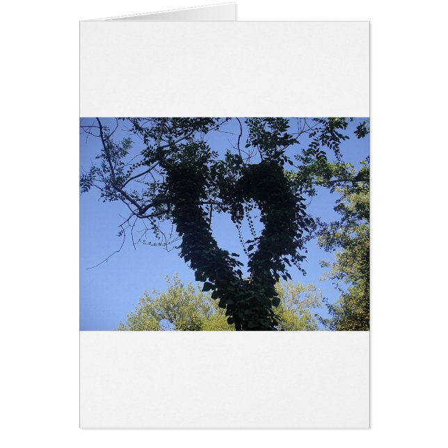 Corazón de árbol (Frente)
