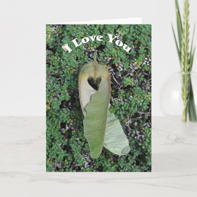 Corazón de Arce de Hoja Grande - Tarjeta de Arte E (Anverso)