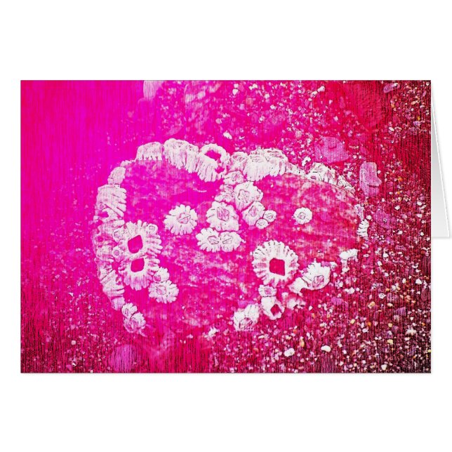 Corazón de la lapa (Anverso (Horizontal))