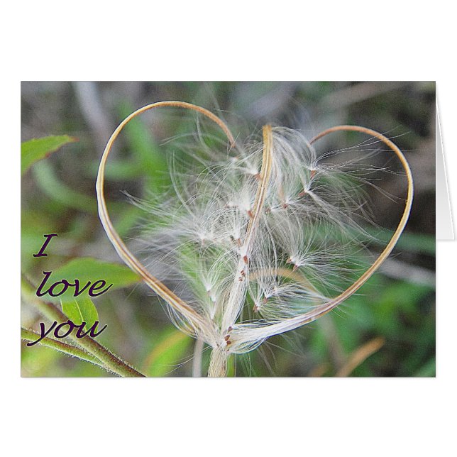 Corazón de la planta de tarjetas de felicitación:  (Anverso (Horizontal))
