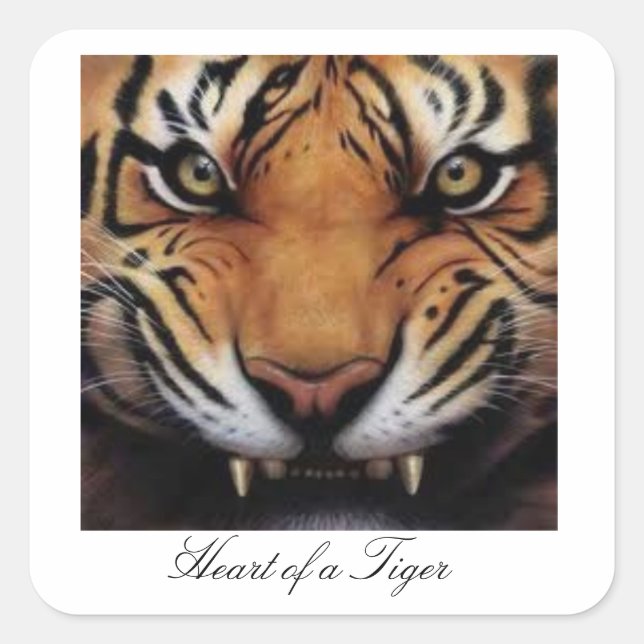 Corazón de los Pegatinas de los tigres (Anverso)