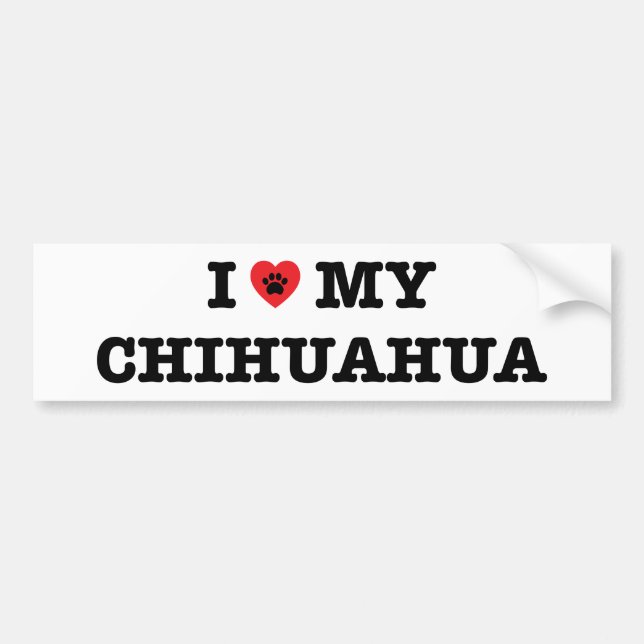 Corazón de mi pegatina de parachoques de Chihuahua (Frente)