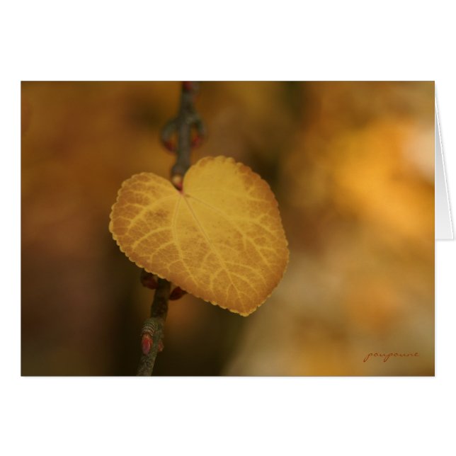 corazón de oro (Anverso (Horizontal))