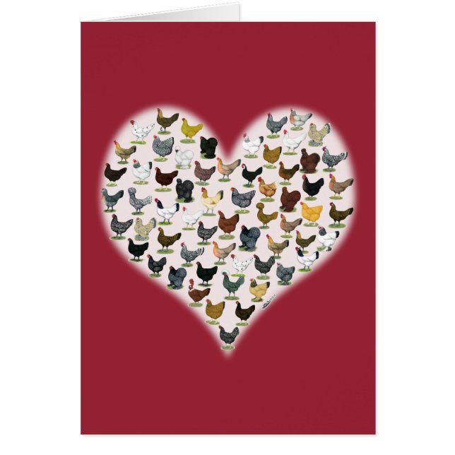 Corazón de pollo (Frente)