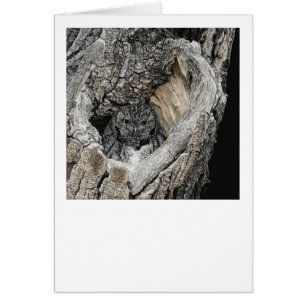 "Corazón de San Pedro" - Lechuza de Grito