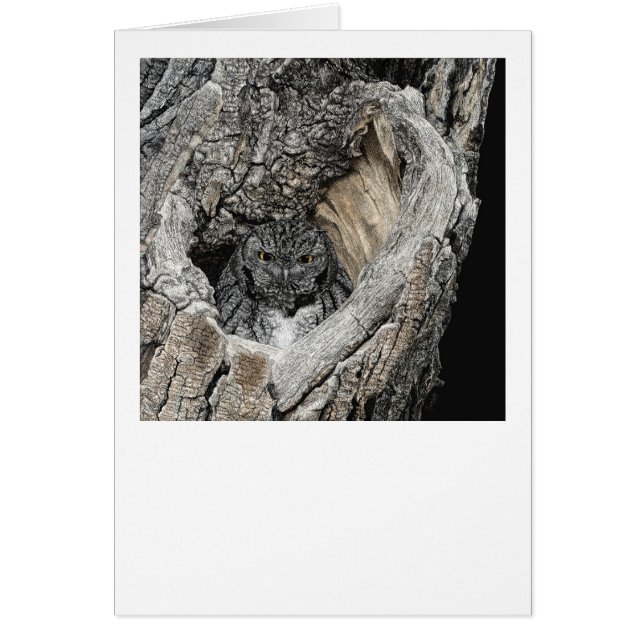 "Corazón de San Pedro" - Lechuza de Grito (Frente)