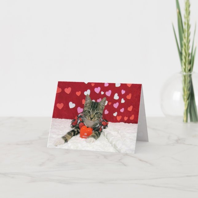 Corazón de San Valentín de Bandit - Tarjeta gata/g (Anverso)