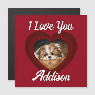 Corazón de San Valentín perro amor Foto personaliz