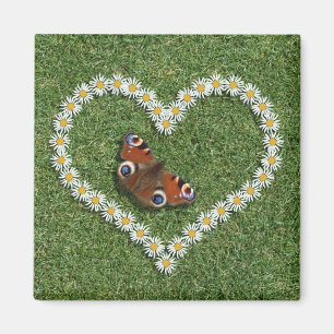 Corazón del amor de la margarita e imán del