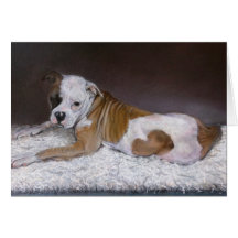 Corazón dulce, Bulldog americano