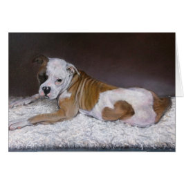 Corazón dulce, Bulldog americano