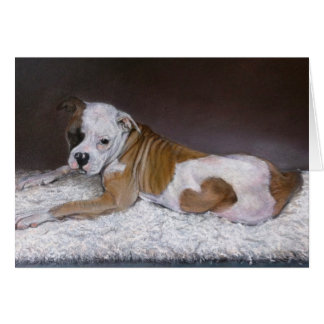 Corazón dulce, Bulldog americano