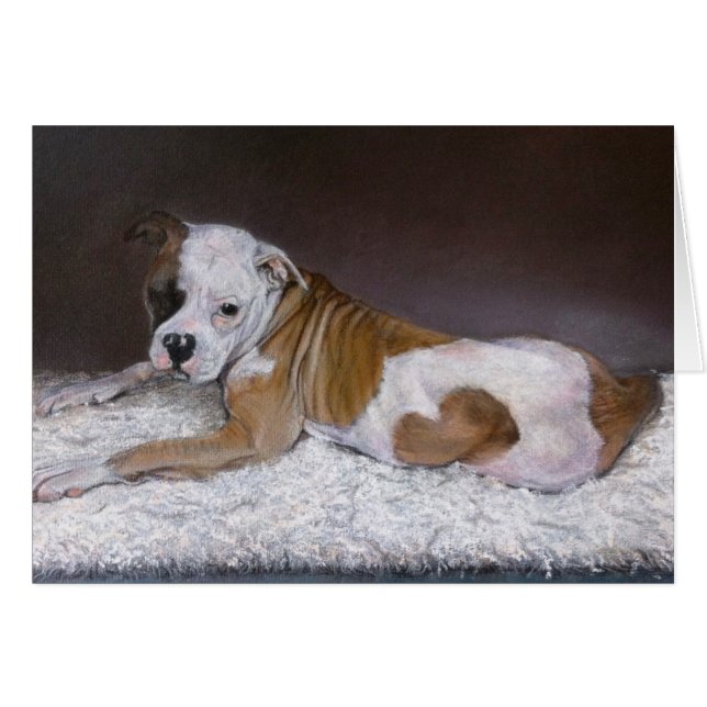 Corazón dulce, Bulldog americano (Anverso (Horizontal))