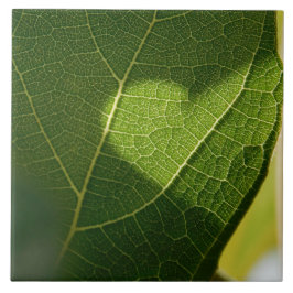 Corazón en una baldosa de hoja iluminada por el so