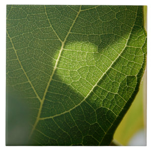 Corazón en una baldosa de hoja iluminada por el so