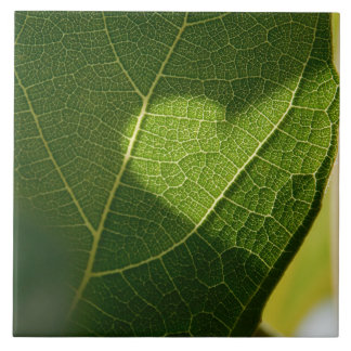 Corazón en una baldosa de hoja iluminada por el so