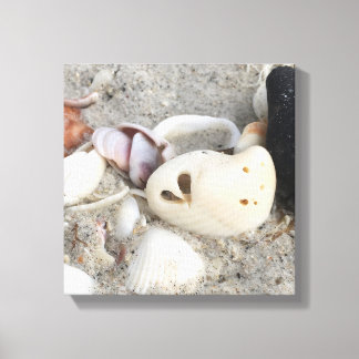 Corazón en una impresión de lienzo de Shell 12x12