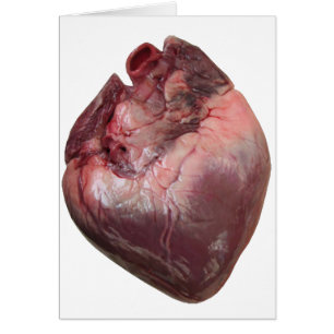 Corazón humano