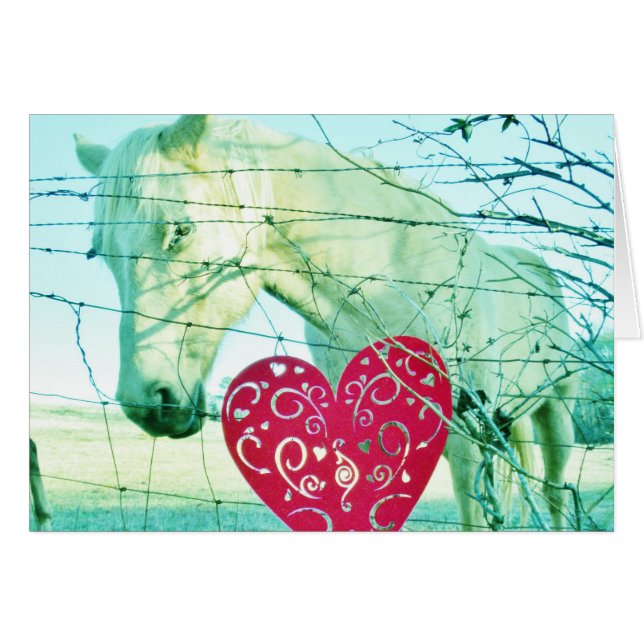 Corazón Rojo de Caballo Blanco Valentine (Anverso (Horizontal))