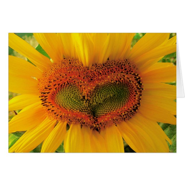 Corazón salvaje, tarjeta del corazón del girasol, (Anverso (Horizontal))