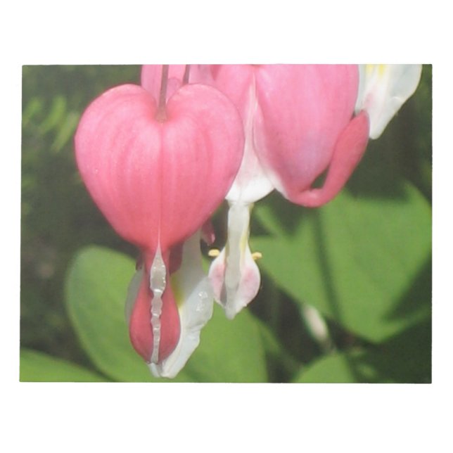 Corazón sangrado floral - Bloc de notas fotográfic (Frente)