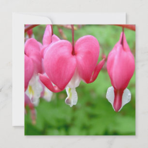 Corazón sangrante rosado