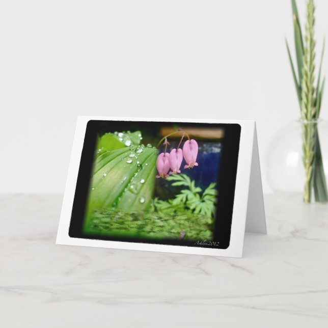 Corazón sangrante, tarjeta en blanco (Anverso)