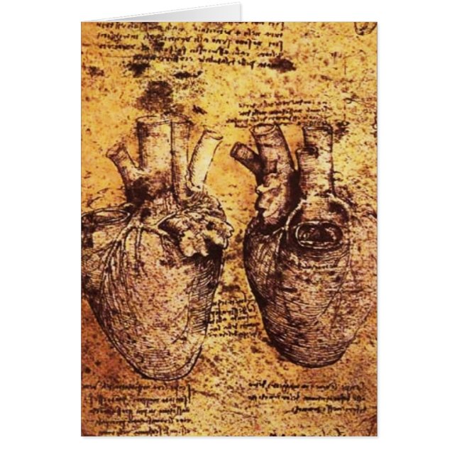 Corazón Y Su Pergamino De Vasos De Sangre (Frente)