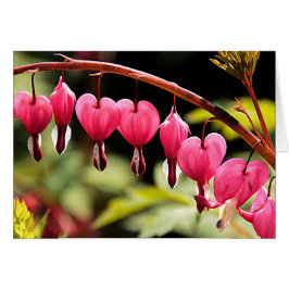 Corazones colgando ahí fuera