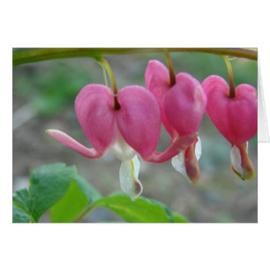 Corazones sangrantes