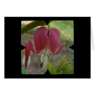 Corazones sangrantes