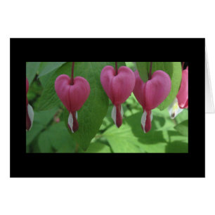 Corazones sangrantes
