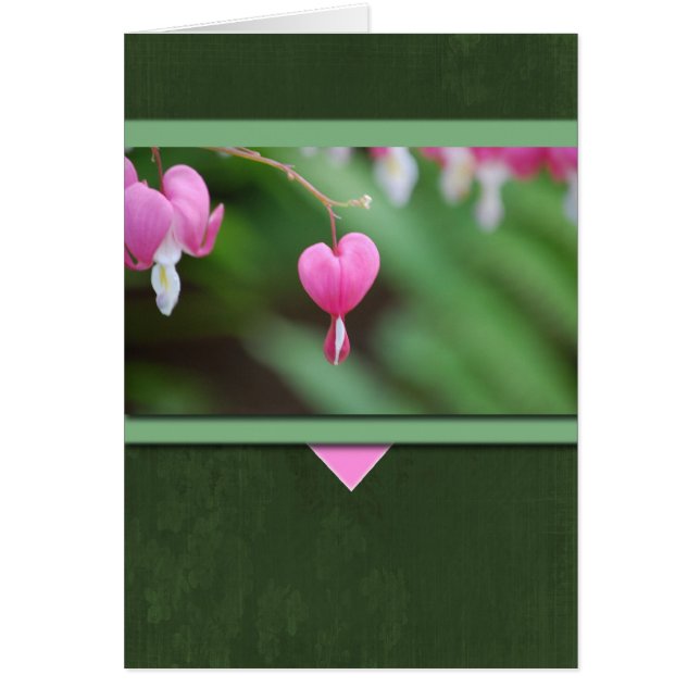 Corazones sangrantes (Frente)