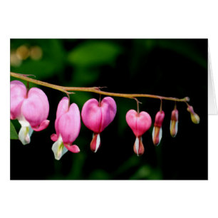 Corazones sangrantes